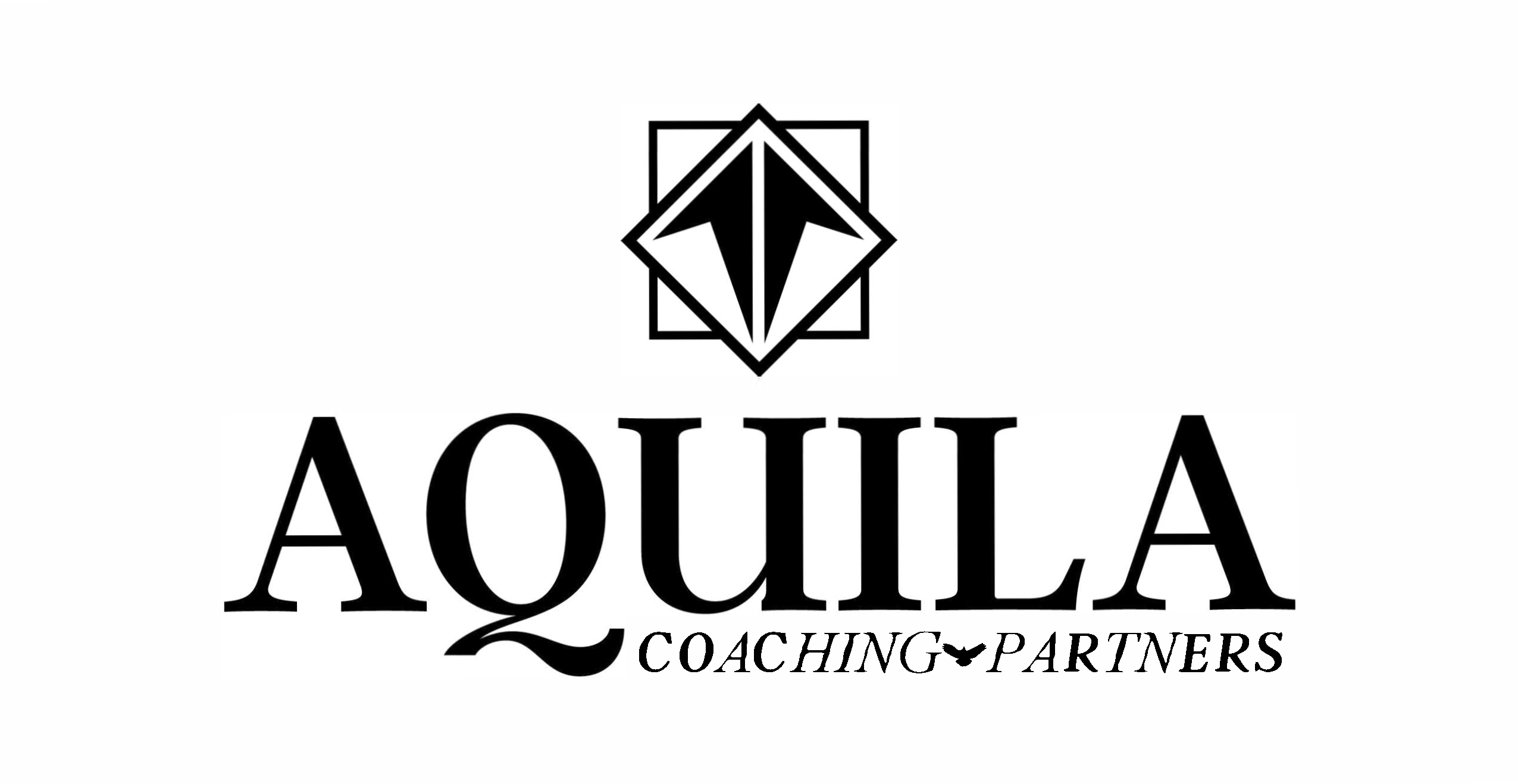 Aquila Coaching Partners Executive Coaching logo